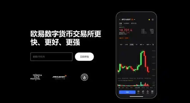 o易货币官网平台展示图